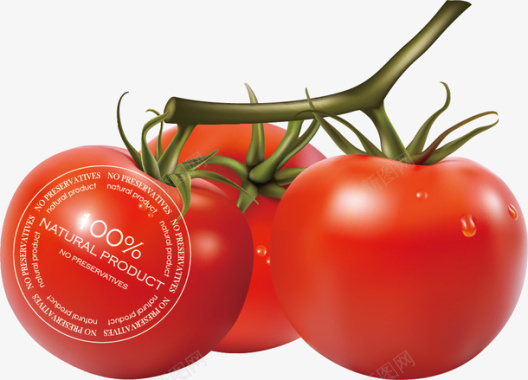 无公害番茄矢量图图标图标