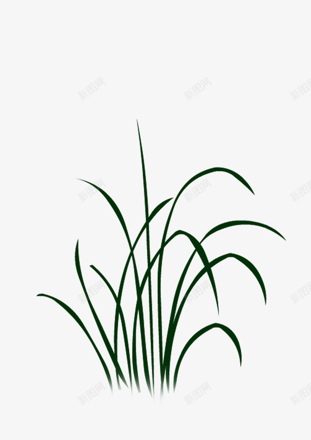 绘画植物png免抠素材_88icon https://88icon.com 绘画植物 绿色 自然 草