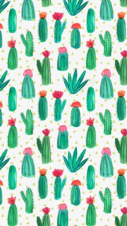 仙人掌背景素材