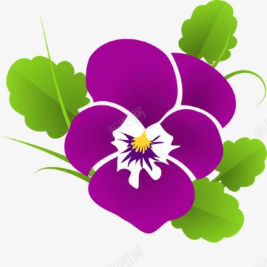 花朵相框紫色牵牛花图标图标
