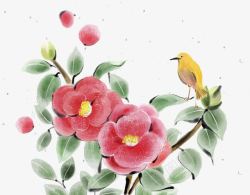 山茶花墨水洗插画素材