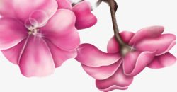 中秋节彩色手绘花朵素材