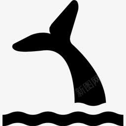 镆斿拰鲸鱼查看名项目图标图标