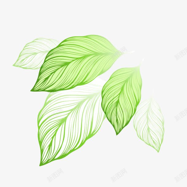 植物绘画树叶形状小清新效果png免抠素材_88icon https://88icon.com 形状 效果 树叶 植物 清新 绘画