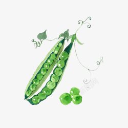 小清新简约手绘水彩绿色豌豆素材