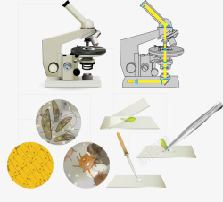 显微镜矢量图素材