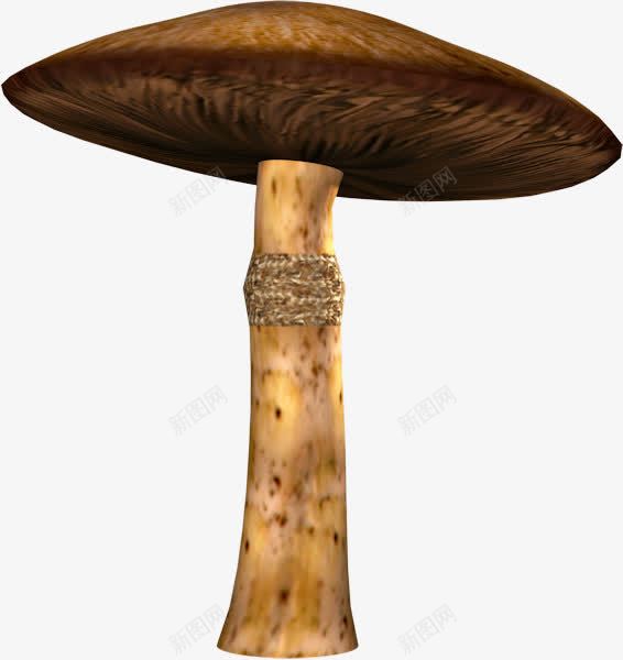 深色蘑菇png免抠素材_88icon https://88icon.com 植物 泥土 深色 蘑菇 食物