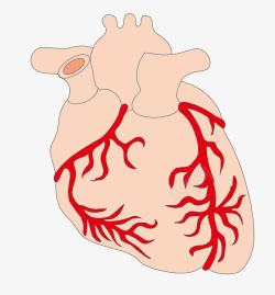 卡通图案心脑血管素材