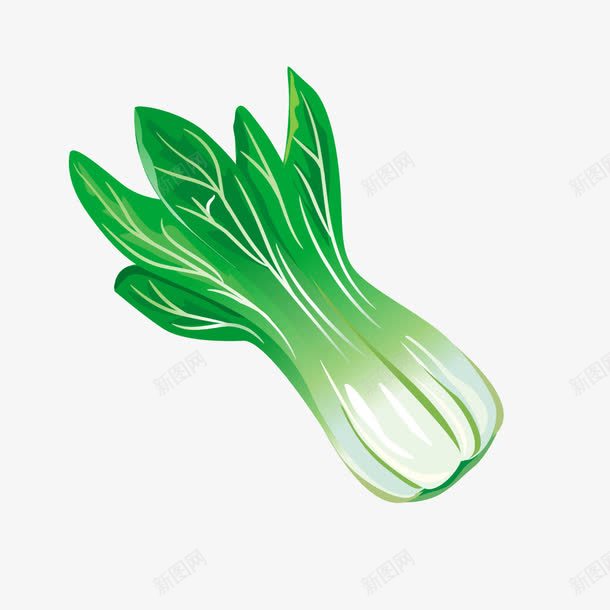 绿色新鲜蔬菜青菜png免抠素材_88icon https://88icon.com 新鲜 绿色 绿色蔬菜 蔬菜 青菜