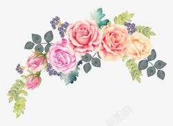 水彩玫瑰花素材