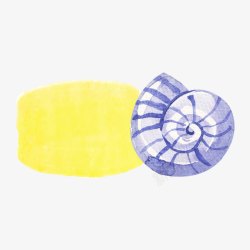 手绘夏日海螺装饰标题背景素材