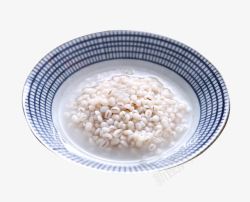 一碗煮熟的薏米素材