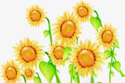 黄色梦幻向日葵花朵植物素材