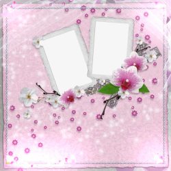 粉色小花边框素材