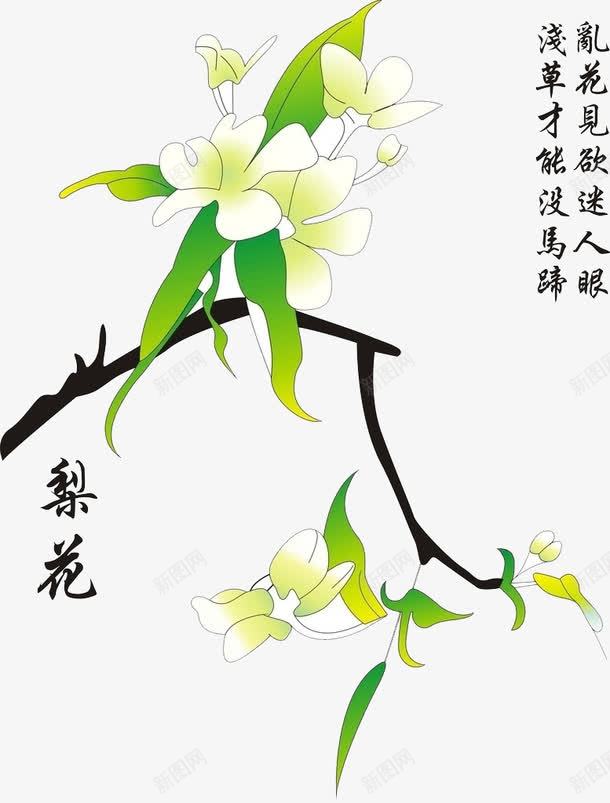 梨花与诗png免抠素材_88icon https://88icon.com 乱花渐入迷人眼 梨树 梨花 浅草才能没马蹄 诗意梨花