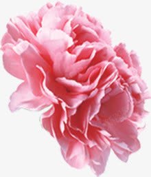 粉红色效果卡通植物花朵素材
