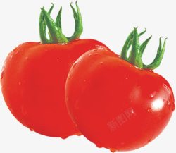 新鲜的蔬菜水果红色西红柿素材
