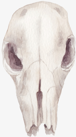 尸骨水墨动物骷髅头骨高清图片