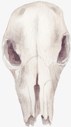 白色头骨水墨动物骷髅头骨高清图片