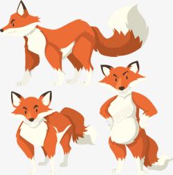 狐狸的三种形态素材