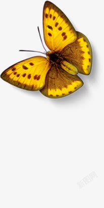 黄色卡通蝴蝶美景手绘素材