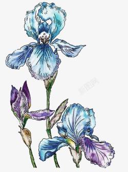 创意守护蓝色的花朵效果素描素材