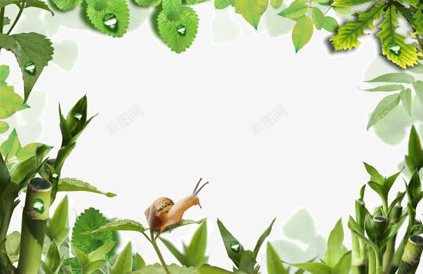 春天绿色边框树叶png免抠素材_88icon https://88icon.com 春天 树叶 绿色 边框