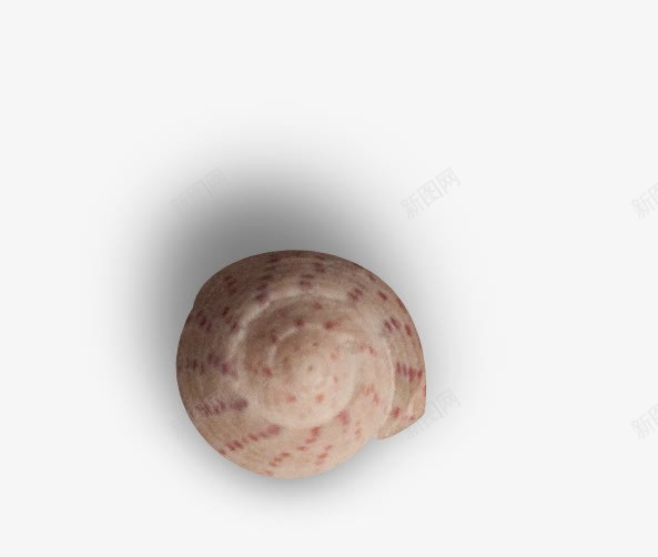 蜗牛壳png免抠素材_88icon https://88icon.com 创意 动物 素材 英文 蜗牛壳