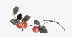 小颗圣女果素材