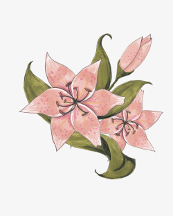卡通手绘粉色的花卉素材