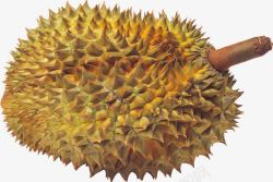 怪味水果榴莲素材