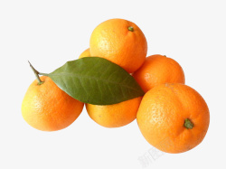 水果橘子素材
