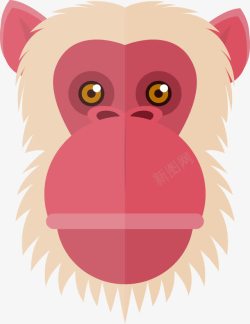 红色猿猴素材
