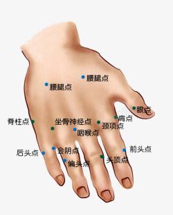 人体手部指头穴位分布素材
