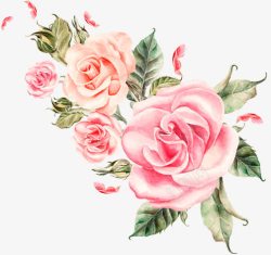 浪漫甜美粉色花朵植物玫瑰素材