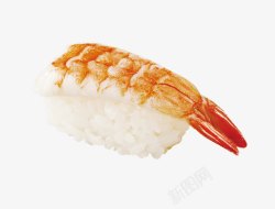 虾仁寿司素材