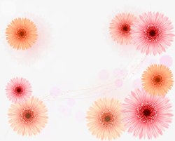粉色雏菊边框装饰花纹素材