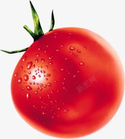红色新鲜西红柿水果素材