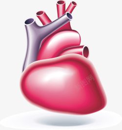 人体器官心脏元素素材