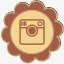 照相机花瓣社交媒体网页图标照相机图标