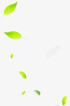 绿色清新植物海报装饰png免抠素材_88icon https://88icon.com 植物 海报 清新 绿色 装饰