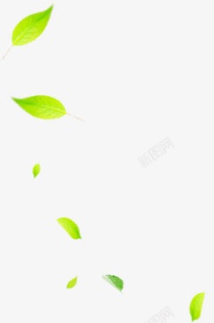 绿色清新植物海报装饰素材