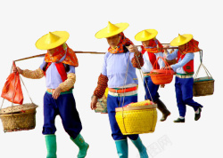 一群带黄草帽挑扁担的惠安妇女素材