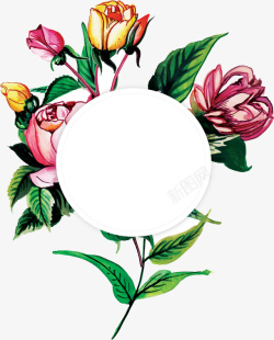 水彩玫瑰春天边框矢量图素材