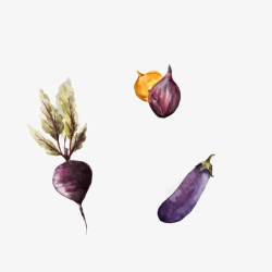 手绘水彩紫色蔬菜图素材