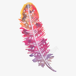 彩色羽毛素材