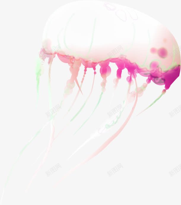 粉色水母装饰图案png免抠素材_88icon https://88icon.com 免抠PNG 水母 粉色 红色水母 装饰图案