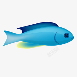 蓝色金鱼手绘卡通鱼类水族素素材