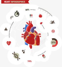 心脏信息数据图素材