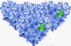 效果植物海报蓝色花朵素材